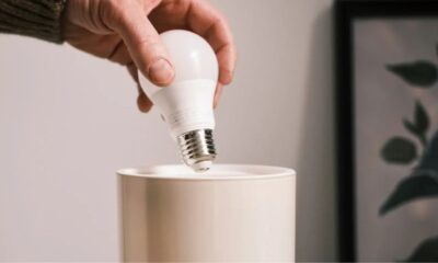 dimmable LED light bulbs