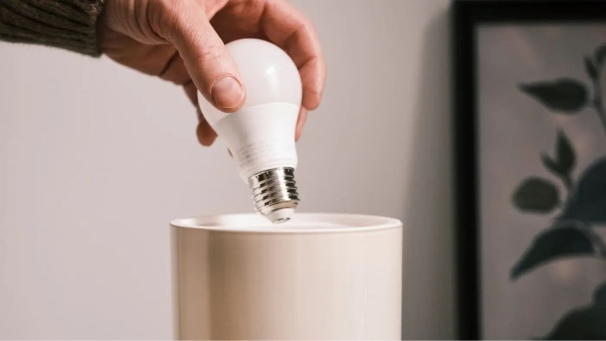 dimmable LED light bulbs