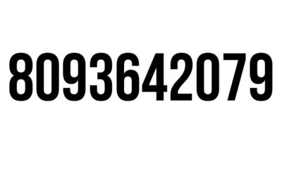 8093642079