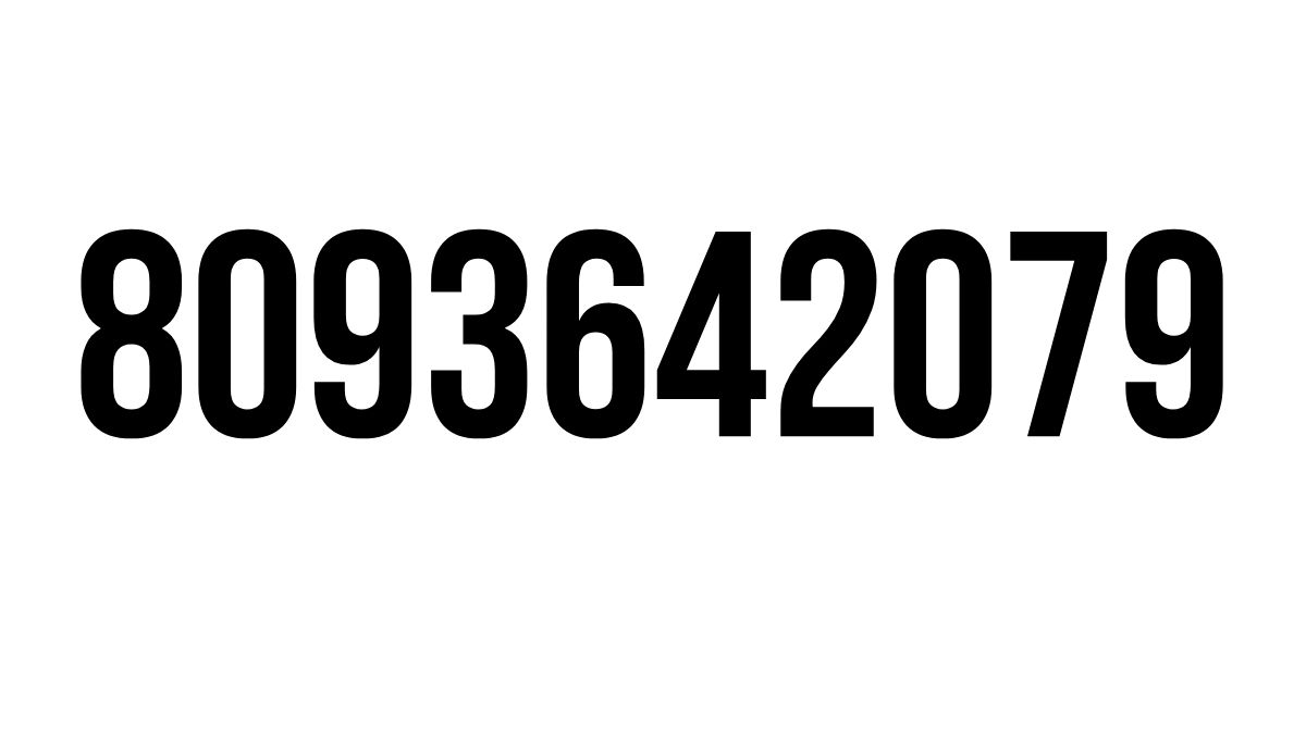 8093642079