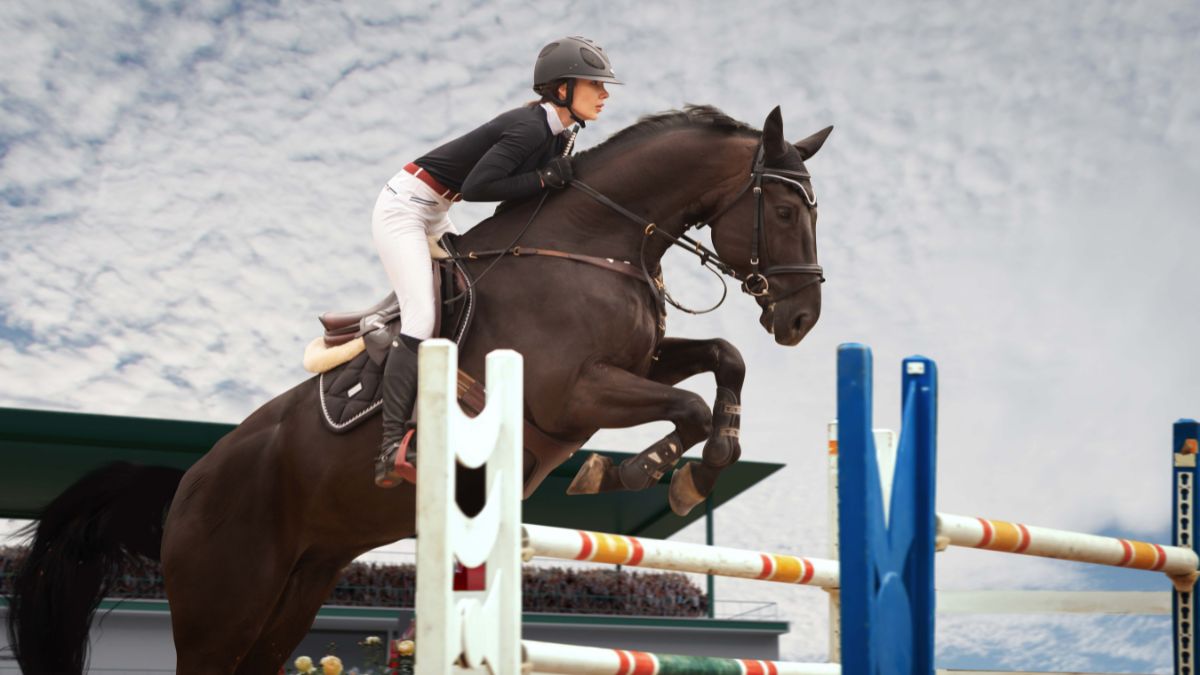 Equestrian Paralympics 2024 2024